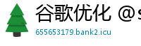 谷歌优化 @ssyq888